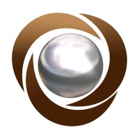 Kongsberg Ferrotech logo